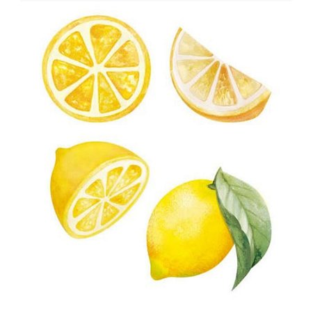 Aplique Em Papel E MDF APM3-335 Coleção Limões