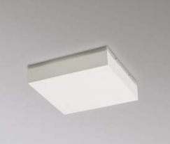 PLAFON BLUMENOX PLN418 BL