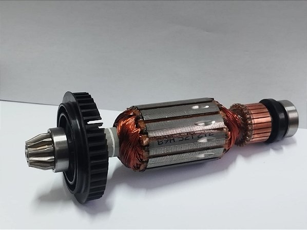 CONJ. INDUZIDO ROLAMENTO E PINHAO 220V