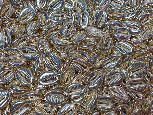 Búzio Dourado 10 unidades