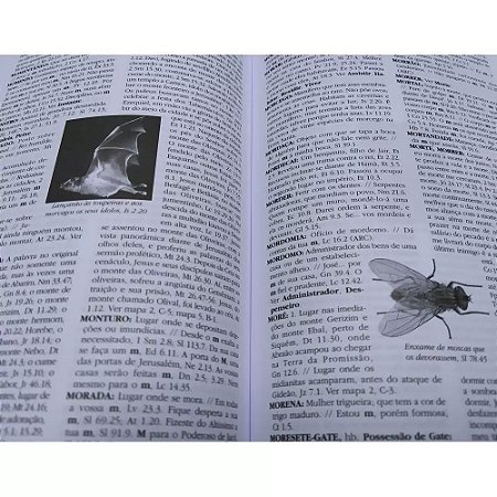 enciclopedia orlando boyer enciclopedia orlando boyer