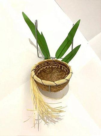 Ninho Taça Coleiro E Tizil Lino Ninhos - Série Especial