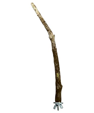 Poleiro de Galho Natural Para Viveiros e Gaiolas