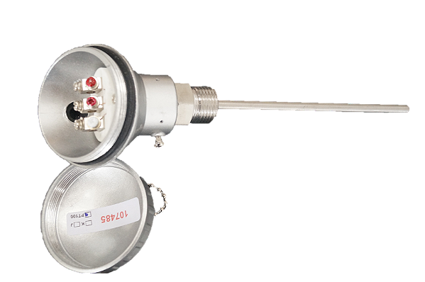 Termoresistência PT100 Cabeçote Grande Rosca 1/2 BSP haste 6x300 mm
