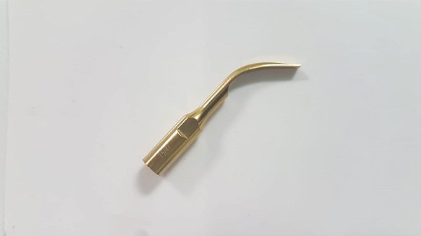 INSERTO G2 (GNATUS)