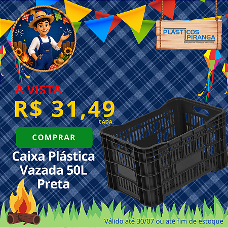 Caixa Plástica Agrícola Vazada 50 Litros