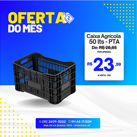 Caixa Plástica Agrícola Vazada 50 Litros