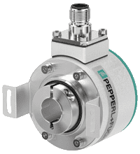 048618 Pepperl Fuchs - RVI84N-10CK2A2NN-00025