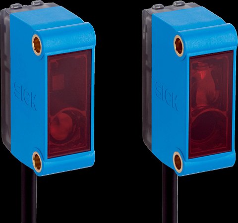 1052448 Sick - GSE6-P1111