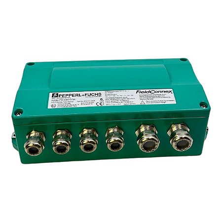 204715-0004 Pepperl Fuchs - F2D0-FB-EX4.CGB