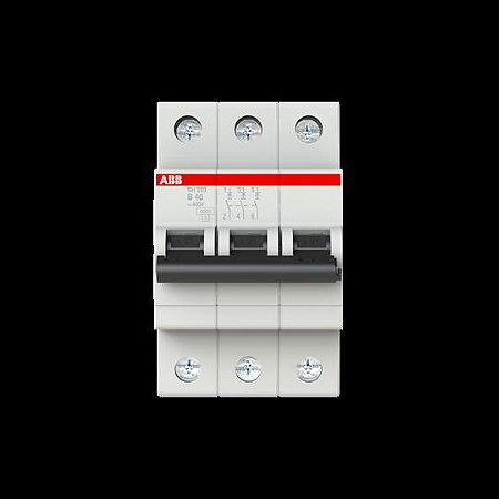 2CDS213001R0405 ABB - SH203-B40