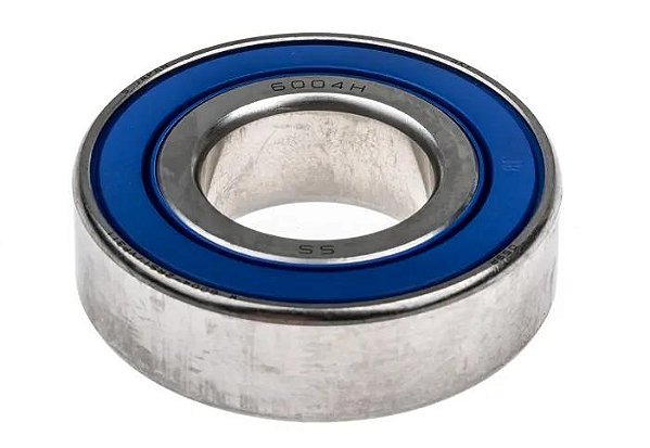 6004-2RS1 SKF