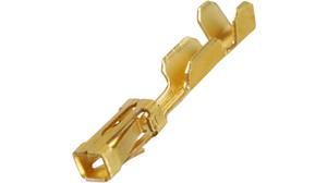 87667-5 TE Connectivity