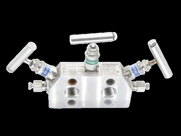 C305121124-0000 Rosemount - Emerson