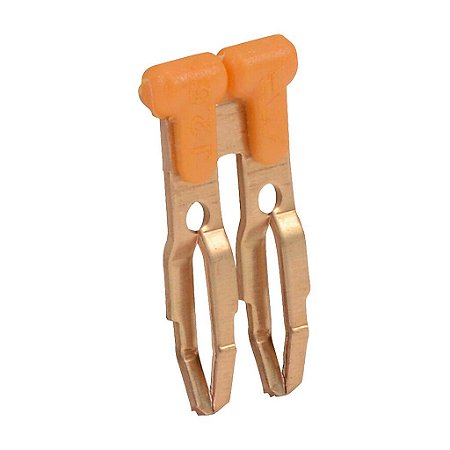 DN-2J2Y Automation Direct