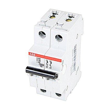 2CDS252001R0324 ABB - S202-C32