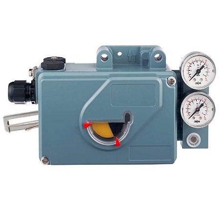 SRI990-BIMS7EAA-R Foxboro