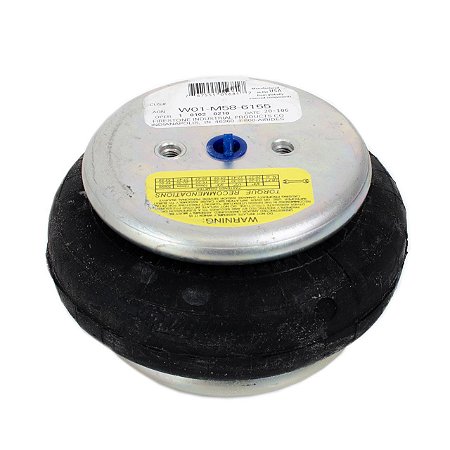 W01-M58-6155 Firestone