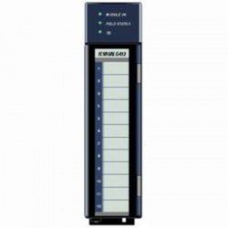 IC695ALG412 GE Fanuc