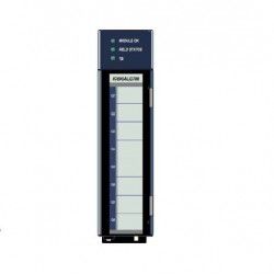 IC695ALG704 Ge Fanuc