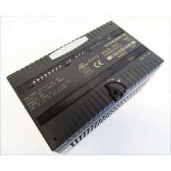 IC200ALG261 GE Fanuc