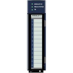 IC695ALG112 Ge Fanuc