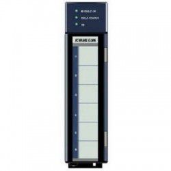 IC695ALG306 GE Fanuc