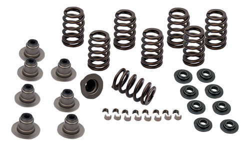 Kit Mola Para Válvula Harley Davidson M8 S&s 900-0958 0,605