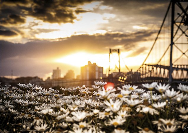 Pôr do sol na ponte para o jardim dos sonhos em Florianópolis
