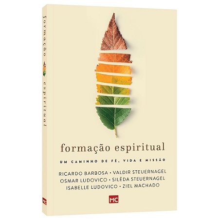 Livro Formação Espiritual Valdir Steuernagel - Mundo Cristão