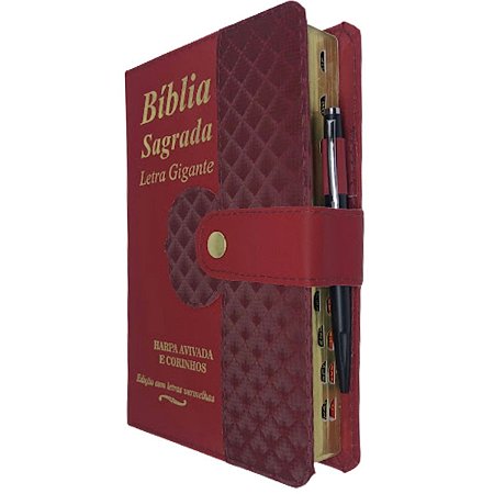 Bíblia Letra Gigante Com Botão e Caneta de Brinde - Vinho