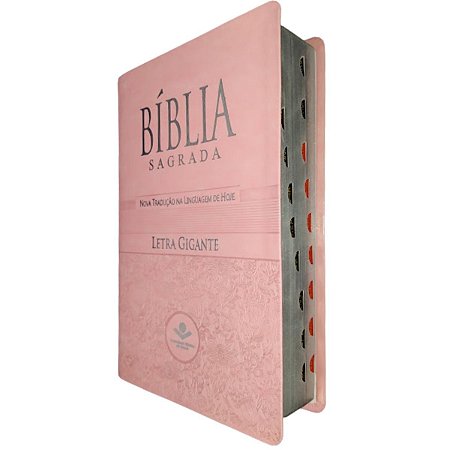  Bíblia Sagrada - Letra Gigante: 7899938403310: Vários Autores:  Books