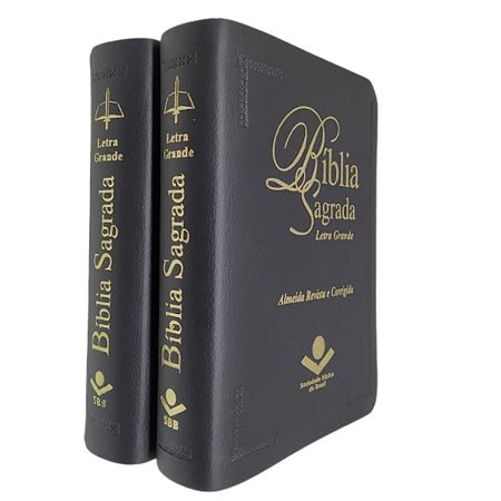 Bíblia Sagrada Tijolinho Letra Grande Índice Lateral Revista Corrigida SBB