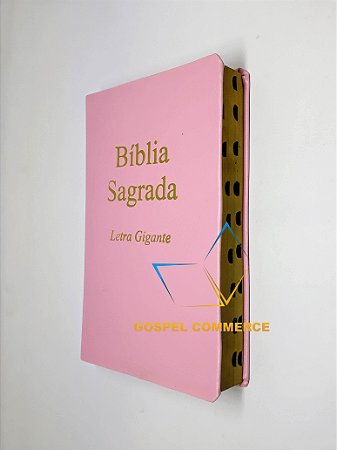 Bíblia Sagrada Letra Gigante ROSA SEM Harpa