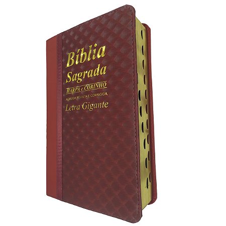 Bíblia Sagrada Letra Gigante Com Harpa Bicolor Vinho - Cpp