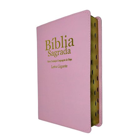 Bíblia Sagrada Letra Gigante NTLH Rosa - Sbb