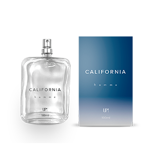 PERFUME UP! CALIFORNIA - MASCULINO 100ML - REF OLF: Sauvage Dior