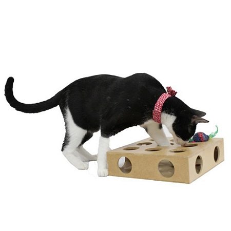 Brinquedo Toy Box com Bolinha para Gatos