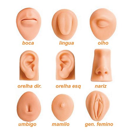 Modelo Anatômico - Escolha a opção desejada - Está incluso no Valor 1 unidade