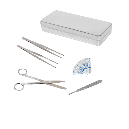 Kit Anatomia para Dissecação Universitário