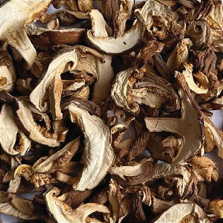 Cogumelo Shitake Laminado