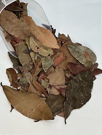 Insulina