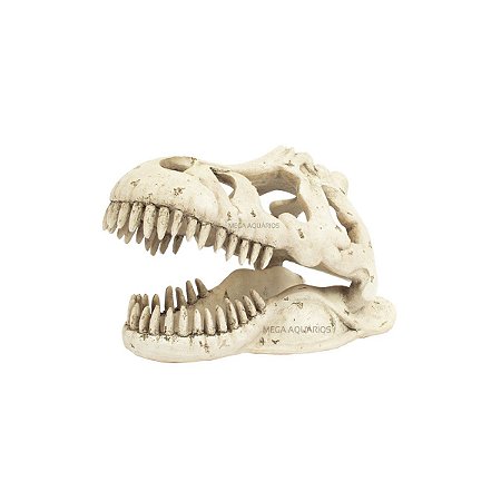 Enfeite aquário esqueleto cabeça tiranossauro pequeno 54036
