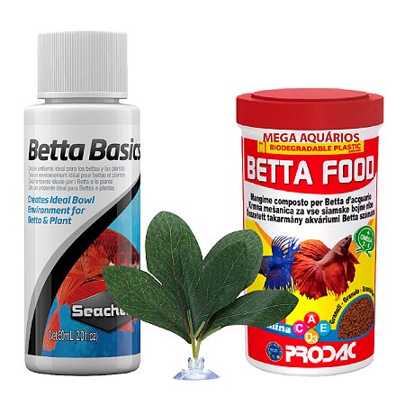 Kit peixe Betta ração Prodac 15g + Seachem Betta Basics + folha descanso