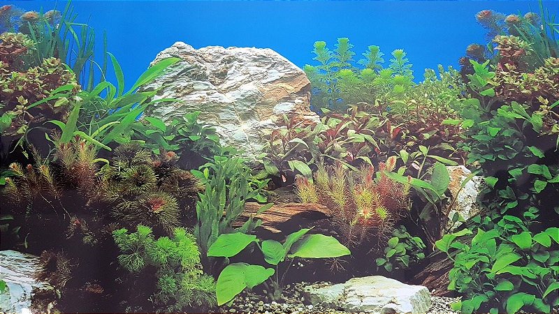 Painel para fundo de aquário - médio 100 X 40 cm