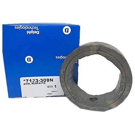 Anel de Ressalto 7123-309N