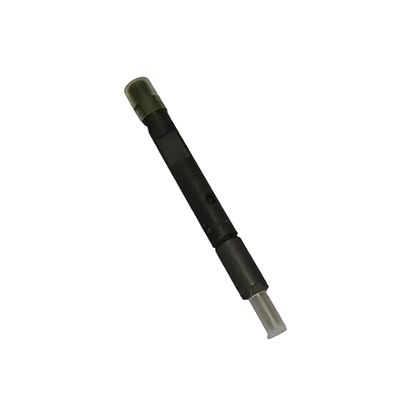 Bico Injetor Completo Maxion Hs 2.5 Ford 0432193835