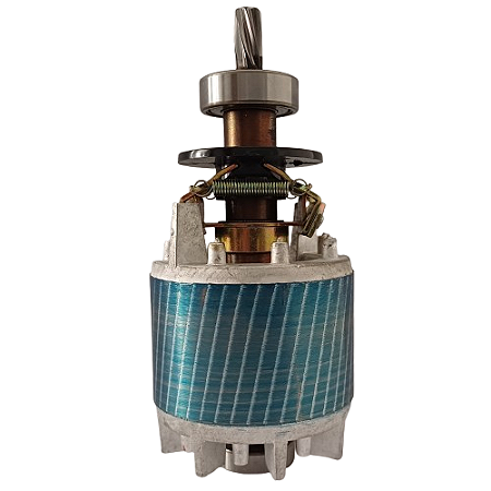 Rotor Motor - Serra Fita (CH) S1101