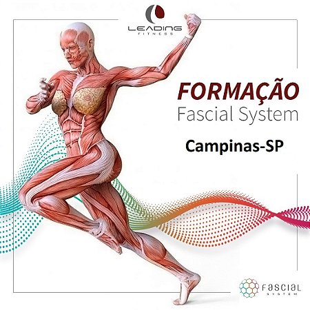 Formação Fascial System para FISIOTERAPEUTAS E PROF. EDUCAÇÃO FÍSICA em Campinas (DEZEMBRO 2026)