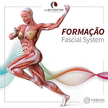 Formação Fascial System para FISIOTERAPEUTAS E PROF. EDUCAÇÃO FÍSICA em PORTO ALEGRE (JUNHO 2024)
